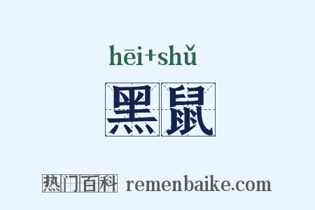 黑鼠是什么意思的图片